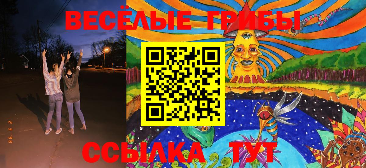 Псилоцибиновые грибы GOLDEN TEACHER  где купить   Малоярославец  Вход с VPN  Галлюциногенные грибы мухоморы 