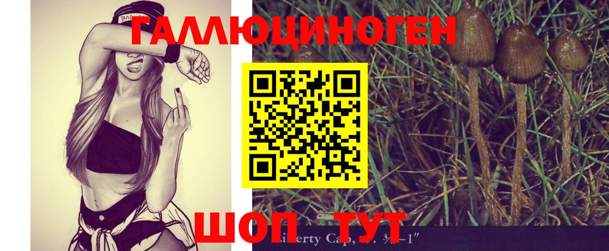 Галлюциногенные грибы ЛСД Малоярославец